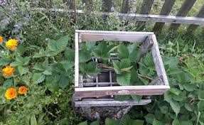 Wir bieten ihnen auf erholsames arbeiten im garten mit dem kniestuhl zum günstigen preis ohne knieschmerzen, egal ob einfach nur zum pflanzen im beet oder beim. Naturnahen Garten Anlegen So Geht S Mein Schoner Garten
