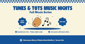 Tunes and Tots at Montezuma Winery