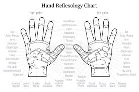 hand reflexology chart description outline stock vector