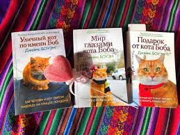 fundraiser by james bowen a tribute in memory of streetcat bob street cat bob bob bowen