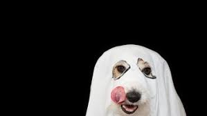 LaVell Edwards Stadium Farmers Market