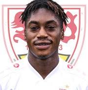 VfB Stuttgart 2:0 VfL Bochum