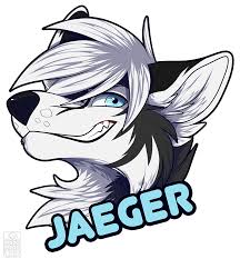 Raider ref by spockirkcoy on deviantart. Drawing Wolf Drawing Furry Novocom Top