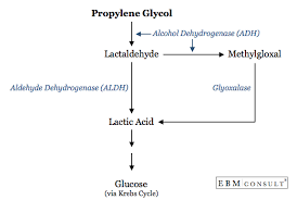 Medications Containing Propylene Glycol And Risk Of Anion Gap Metabolic Acidosis Metabolic Acidosis Acidosis Anion Gap