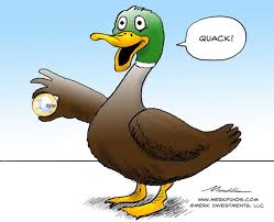 Image result for duck
