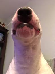 Explore and share the best lip smacking gifs and most popular animated gifs here on giphy. Nelson On Twitter Lip Smack Sound