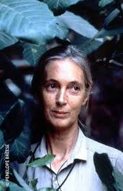 Dr. Jane Goodall