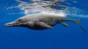 ichthyosaur deniz surungenleri sicakkanliydi halk arasinda sicakkanli ve sogukkanli olarak bilinen te sea dinosaurs prehistoric wildlife prehistoric animals