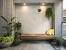 Tropical Patio Plants