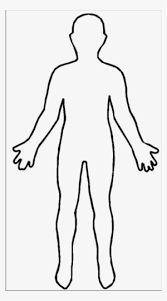 Body Outline Png Transparent Body Outline Png Image Free Download Pngkey Outline drawing of the human body. body outline png transparent body