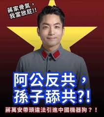 全力支持民進黨候選人