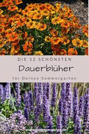 Die 12 Schonsten Dauerbluher Fur Deinen Sommergarten Garten Bepflanzen Sommergarten Garten