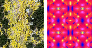 Choreographing Balance