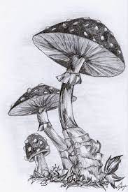 Pin On Drawing