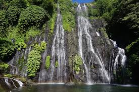 Biaya hanya dikenakan ketika parkir kendaraan. Menengok Segarnya Air Terjun Banyumala Bali Mongabay Co Id