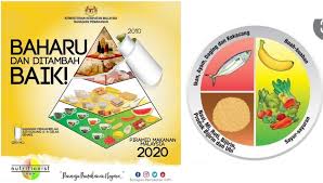 Ia juga membantu mengekalkan ketahanan badan terhadap serangan jangkitan penyakit dan menyediakan nutrien yang cukup untuk keperluan pertumbuhan pada. Piramid Makanan Malaysia 2020 Kkm Perbezaannya Dengan Yang Lama