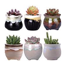 Vertically wrap it all the way around your plant and pot to keep everything in place. Amazon Com Wituse Small Planters Cactus Planter Mothers Day Succulent Pots Mothers Day Gift Small C Small Ceramic Planter Succulent Pots Plant Pot Decoration
