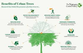 The Benefits Of Urban Trees Cnu