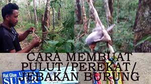 Teruskan memijat area di sekitar tikus selama beberapa menit. Cara Membuat Lem Pulut Getah Jebakan Burung Super Lengket Slime How To Make A Bird Glue Trap Youtube
