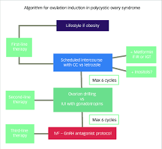 Flow Chart For Ovulation Induction In Infertile Polycystic