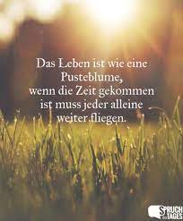 Allein durchs leben