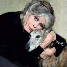 We live in the village and we need to dig a hole to check how deep the  foundations of our single storey extension are. Is there a local builder  who could spare