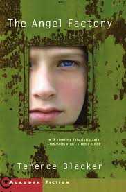 The Angel Factory купить на OZON по низкой цене (149011101)