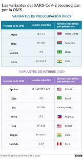 The spike protein, which is what attaches to the ace2. Coronavirus La Variante Que Llego A Brasil Por La Copa America Es Mas Transmisible Y Tiene Una Mutacion Inedita Bbc News Mundo