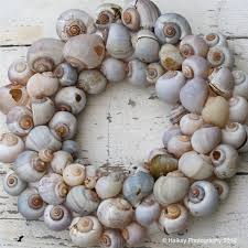 Shell Wreath Diy Shells Seashells Shoreline Shorelinebrand Apple Snail Shell Wreath Snail Shell