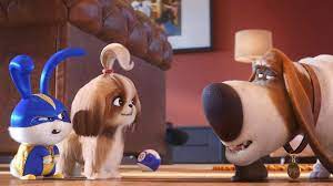 Mascotas 2 Pelicula Completa En Espanol Latino Aquipelis Secret Life Of Pets Secret Life Spring Movie
