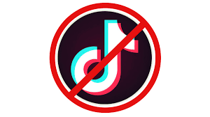 Tiktok 18+ apk is listed in the puzzle category on playstore. Fake Tiktok Malware Being Spread Through Whatsapp Maharashtra Cyber Cell Warns Technology News