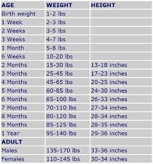 5 months baby weight and height toddler sleep cycle chart