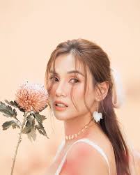 Võ Hoàng Yến mang thai nhờ thụ tinh ống nghiệm