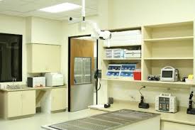 Ve Cc Is Located Adjacent To The Las Vegas Veterinary Specialty Center Lvvsc Allowing For Rapid Consultation With Spec Oncology Internal Medicine Cardiology
