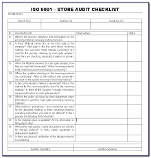 It has suggestive content outlining every possible area for vehicle delivery and provision for you to make changes in terms of logo, name, rules and contact details. Audit Format Template Insymbio