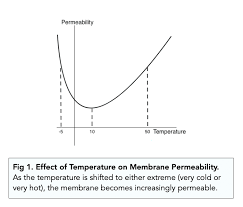 Interaction Of Detergent Sclerosants With Cell Membranes