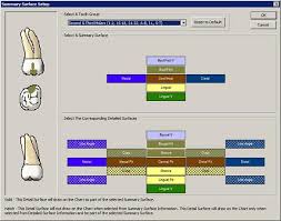 Customizing Detailed Surface Information