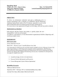 The seo resume examples below have been developed to assist seo professionals in crafting their own resumes. 11 Seo Resume Templates Doc Pdf Free Premium Templates