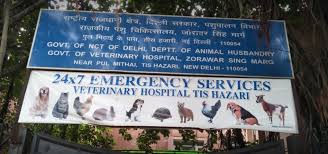 To help you with your vets surf, here are 10 best veterinary clinics in delhi every pet lover must know for their cheery friend's health crises. 13 Emergency Animal Helplines In Delhi Ncr Delhi Dog Adoption