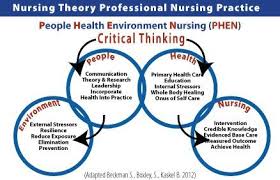 Image Result For Nursing Metaparadigm Nursing Theory Nurse Educational Leadership