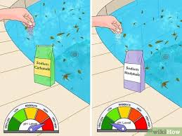 May 20, 2021 · help make a clean and green brisbane. How To Get Rid Of Green Water In A Swimming Pool 10 Steps