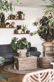 urban jungle im wohnzimmer monstera luftwurzeln pflanzen