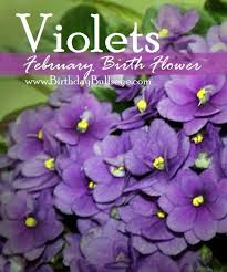 Pin On Birthday Flower Gifts