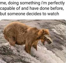 Pin By D A On Me Funny Relatable Memes Try Not To Laugh Stupid Funny Memes