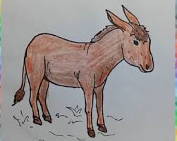 Read online books for free new release and bestseller How To Draw An Axolotl Step By Step Easy Easy Animals To Draw