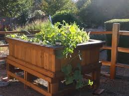 Garden Box Kit Less Bending Less Weeding Garden Boxes Container Gardening Building A Deck