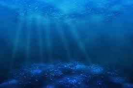 Oceanic provinces and zones nerltic oceanic pelagic epipelagic photic 200mm subitoral aspotic mopologie bathyal aptotic a. Tengok Yuk 7 Zona Kedalaman Laut Dan Jenis Hewan Yang Hidup Di Sana Idn Times Jabar