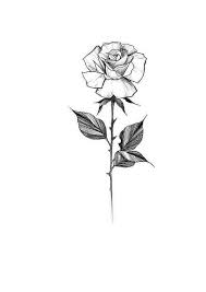 Photo Floral Tattoo Design Rose Sketch Tattoo Design Drawings