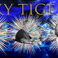 Sky Tigers at "The Legion" 21 King St event image