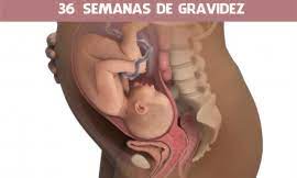35 Semanas De Gravidez Sao Quantos Meses Ja Pode Nascer Quais Sintomas